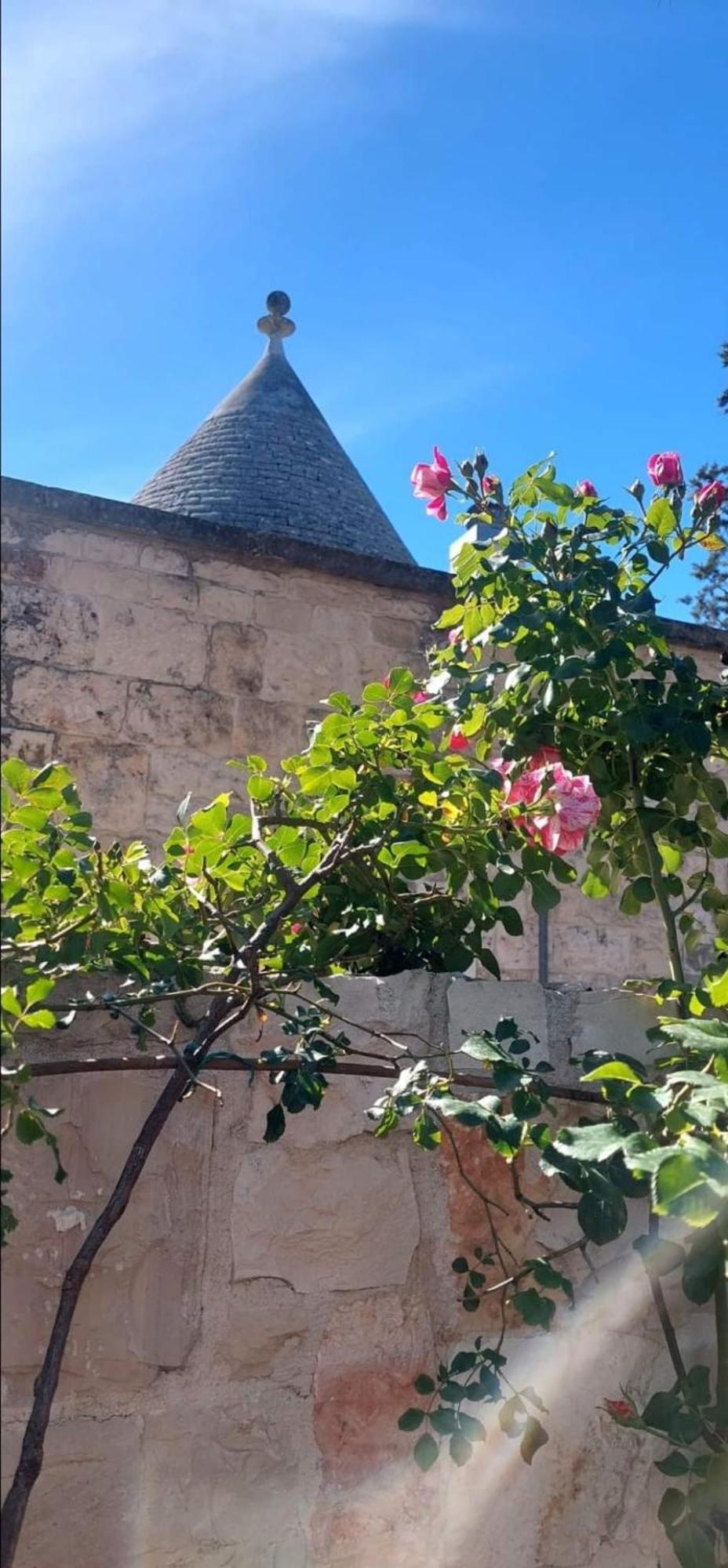 Il Trullo Delle Rose, Monopoli By Il Pumo Di Puglia Villa Cozzana Bagian luar foto